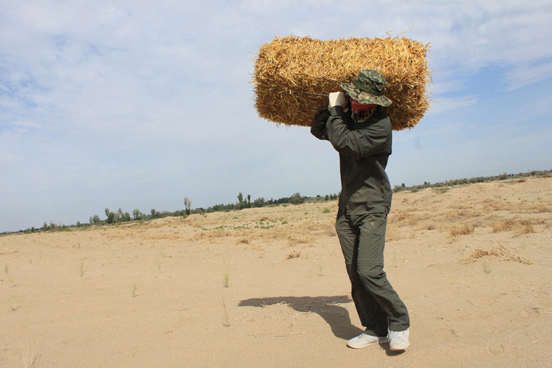 �F(tu��n)�T���i�������������ϳ����ģ����������؟(z��)����