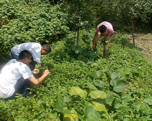 �ڶ������(du��)�T���_(k��i)ʼ��(l��i)�����B(t��i)�r(n��ng)��(ch��ng)�w�(y��n)�r(n��ng)��������������ժ����