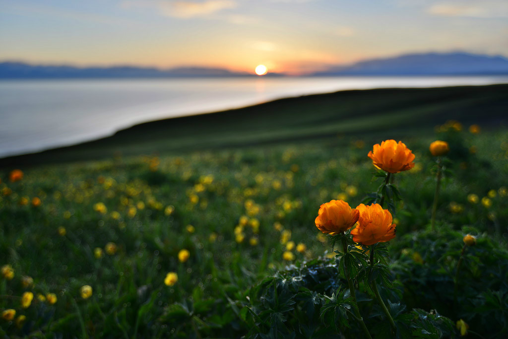 ��������l(xi��ng)�ĸ����