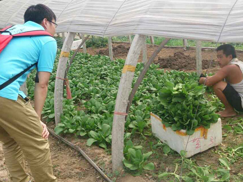 ��(sh��)�`�(du��)�T�c��(d��ng)?sh��)��r(n��ng)��e�O��ͨ������������}���˽��߲˴�������P(gu��n)��r��