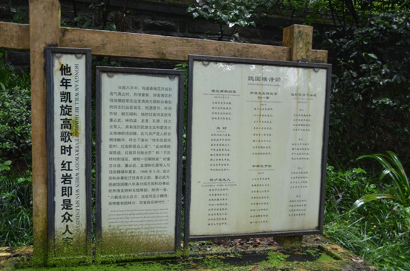 �D6 �ۇ�(gu��)Ů��(sh��)�I(y��)������(gu��)ģͬ־����Ԋ(sh��)�~���ޝ�� �z��