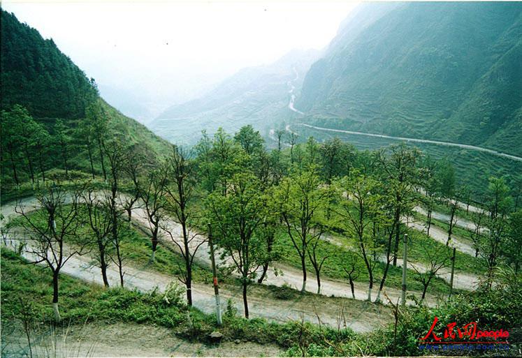 ��¡��24���ա�֮�ġ���ꐁ���?j��n)zӰ��