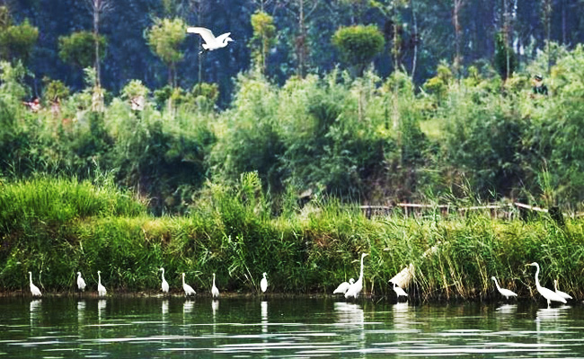 ͯԒ�ϼң���������Ԋ�����Ϙ���f����