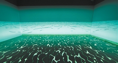 科技藝術(shù)呈現(xiàn)新樣貌