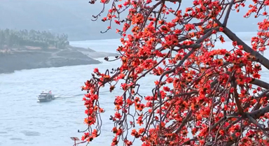 攀枝花長(zhǎng)啥樣？到攀枝花去看看