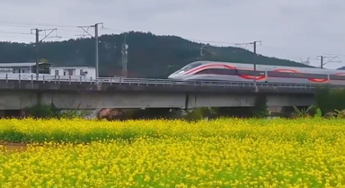 春日限定鐵路風(fēng)景，坐著火車去賞花